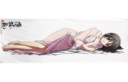 Yukimura Chizuru Body Pillow Cover Hakuoki C78 Goods Goods Accessories Suruga Ya Com