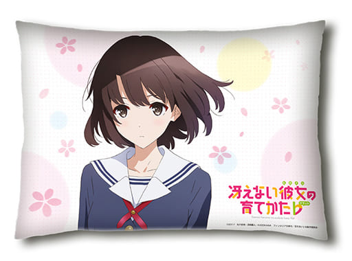 加藤恵piroi Case 不太理想的她是培养法 杂货 小物件 Suruga Ya Com