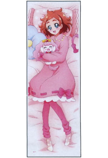 Body Pillow Cover Sheets Character Cutter Haruka Haruno Kaito Minami Pillow Cover Good Night Together Go Princess Precure Pretty Store Limited Goods Accessories Suruga Ya Com