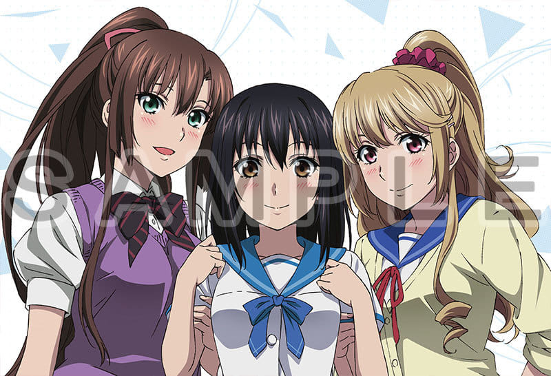 雪菜 淺蔥 紗矢華枕頭套 噬血狂襲strike The Blood 雜貨 小配件 Suruga Ya Com