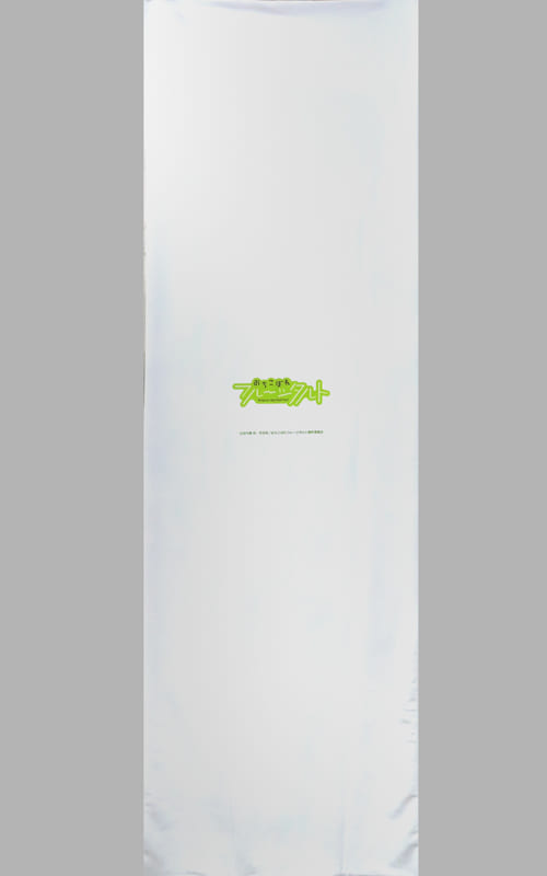 Body Pillow Cover / Sheets Body Pillow Cover (2Way Tricot) "Ochikobore