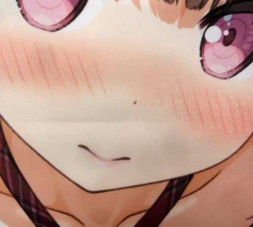 タペストリー 破損品 ぬいでもチェック カントク B2タペストリー ロゴ紫 雑貨 小物 Suruga Ya Com