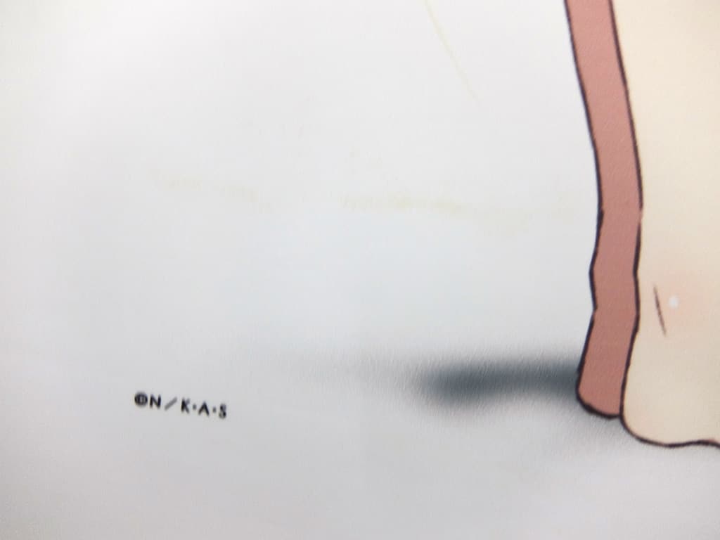 破损品 Kisshot 针叶樱桃orion Heart Under Blade 12岁 新插图b1挂画 伤物语 C91商品 杂货 小物件 Suruga Ya Com