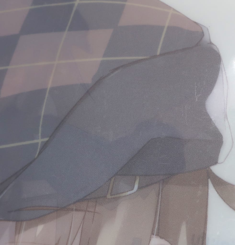 破損品 望月a4透明文件夾 艦隊collection 艦娘 鎮守府瑞雲祭in富士急樂園泊地 合作咖喱注文特典 雜貨 小配件 Suruga Ya Com