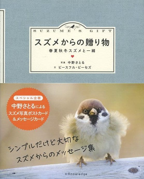 動物和寵物有贈品 麻雀送的禮物 春夏秋冬麻雀和一緒 書 Suruga Ya Com