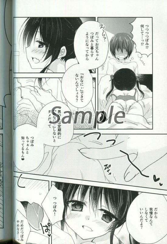 单品册子 被js所迷惑 令人烦恼2 同人 Suruga Ya Com