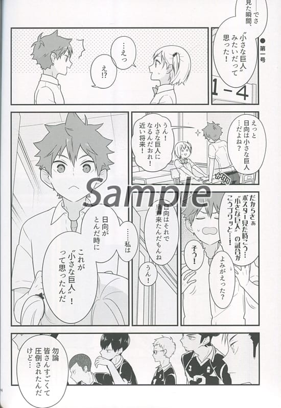 排球少年 星星在阳光下绽放日向翔阳 谷地仁花 同人 Suruga Ya Com