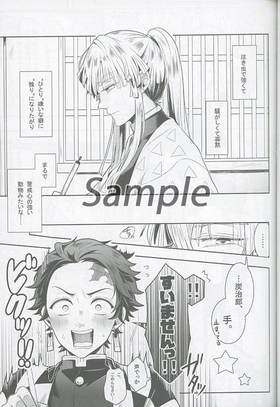 鬼灭之刃我的师父是鳴柱灶门炭治郎 我妻善逸 同人 Suruga Ya Com 鬼灭之刃我的师父是鳴柱灶门炭治郎 我妻善逸 同人 Suruga Ya Com