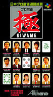 Pro Mahjong pole