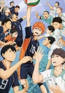 PAMPHLET Haikyu! "WINNERS AND LOSERS"