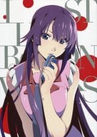 Anime Series 10 th Anniversary Illustration Works