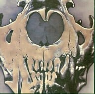 Loudness / ONCE AND FOR ALL