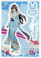 Sakurajima Mai Haregi ver. Acrylic Stand "Rascal Does Not Dream of Bunny Girl Senpai Mai Haregi ver. 1/7 PVC Coated Finished Product" ANIPLEX + Limited Gift
