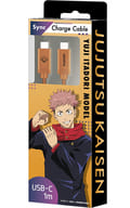 Kojo Hisahito TYPE-C to C cable' Jujutsu Kaisen'