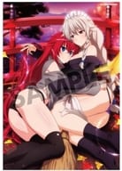"high school DxD HERO" Visual Acrylic Plate by Rias & Grephia (Nuku Nuku Sister ver.)