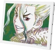 Chiku Ishigami Ani-Art Second Canvas Board "Dr. STONE"