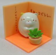 Cat + Rough 「 Sumikogurashi Room de Sumikogurashi 」