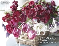 Rose - Rose of Paris - 2024 calendar