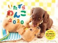 Naughty Dog 2020 Calendar