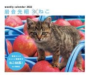Mitsuaki Iwago x Neko 2022 calendar
