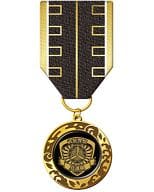 8. Shinsengumi "Gintama Decoration Medal"