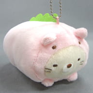 NEKO KYORYU, WITH BALL CHAIN, Plush toy LIZARD ON THE STOMACH, AND MOTHER'S THEME "SUMIKO GURASHI"
