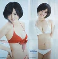 BIG Bath Poster Sayaka Yamamoto (NMB48) Young Animal 2013 Year No. 2 Special Appendix
