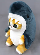 Sharknyan Plush toy S "mofusand"