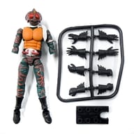 4) Kamen Rider Amazon "SHODO-X Kamen Rider 9"