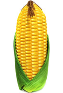 Chunky Corn Big Cushion