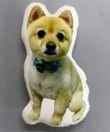 Pome-kun Die Cut Cushion "Pomeranian no Pome-kun x Village Vanguard"