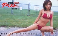 "Noriko Midorikawa" Bessatsu The Best MAGAZINE Scramble