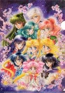 10 Senshi Clear File 「 Pretty Guardian Sailor Moon Exhibition 」