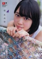 Miona Hori (Nogizaka46) B5 plastic trasparent file folder EX Taishu September 2018 Appendix