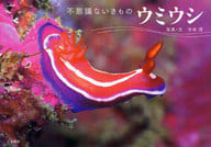 海牛不可思議的生物