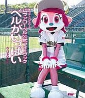 巴法羅貝爾公式相冊滿了