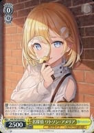 HOL/W104-008[R]:著名偵探Watson-Amelia