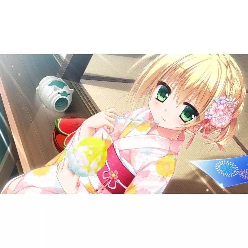 駿河屋 -<中古>SAGA PLANETS 4作品セット（ニンテンドースイッチ）