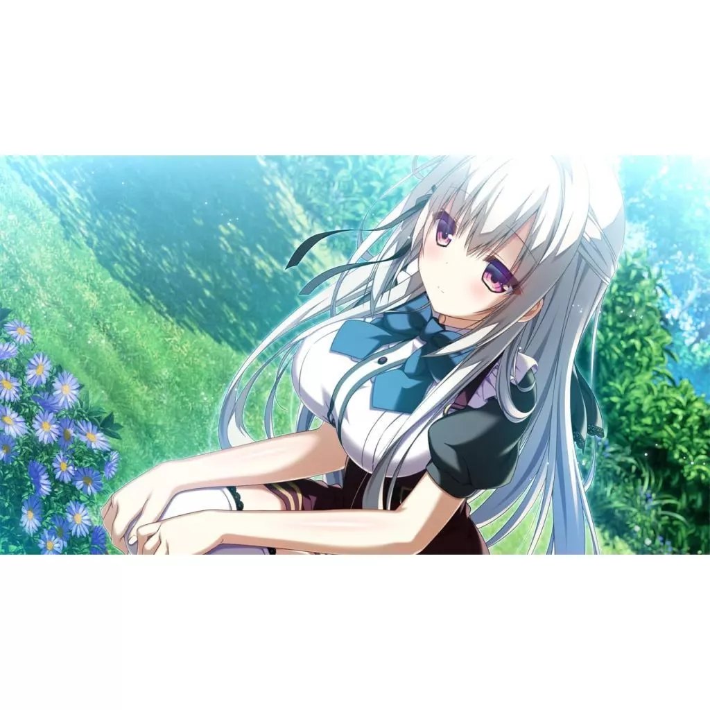 駿河屋 -<中古>その日の獣には、+罪ノ光ランデヴーセット