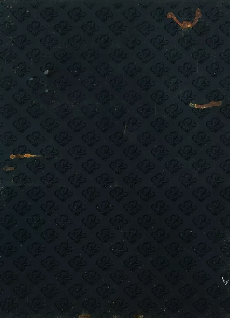 新品 ふたりのベロニカ コレクターズ・エディション('91仏/ポーランド) 駿河屋 -<中古>ふたりのベロニカ コレクターズエディション('91