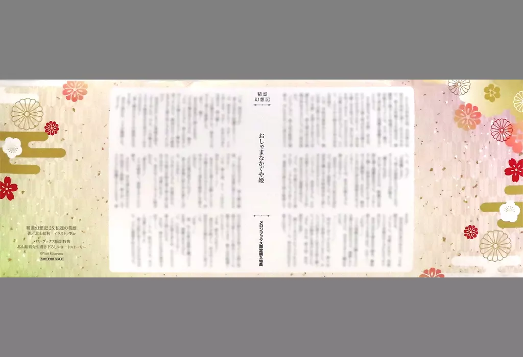 駿河屋 -<中古><<アニメ・漫画系書籍>> 精霊幻想記(25) メロンブックス