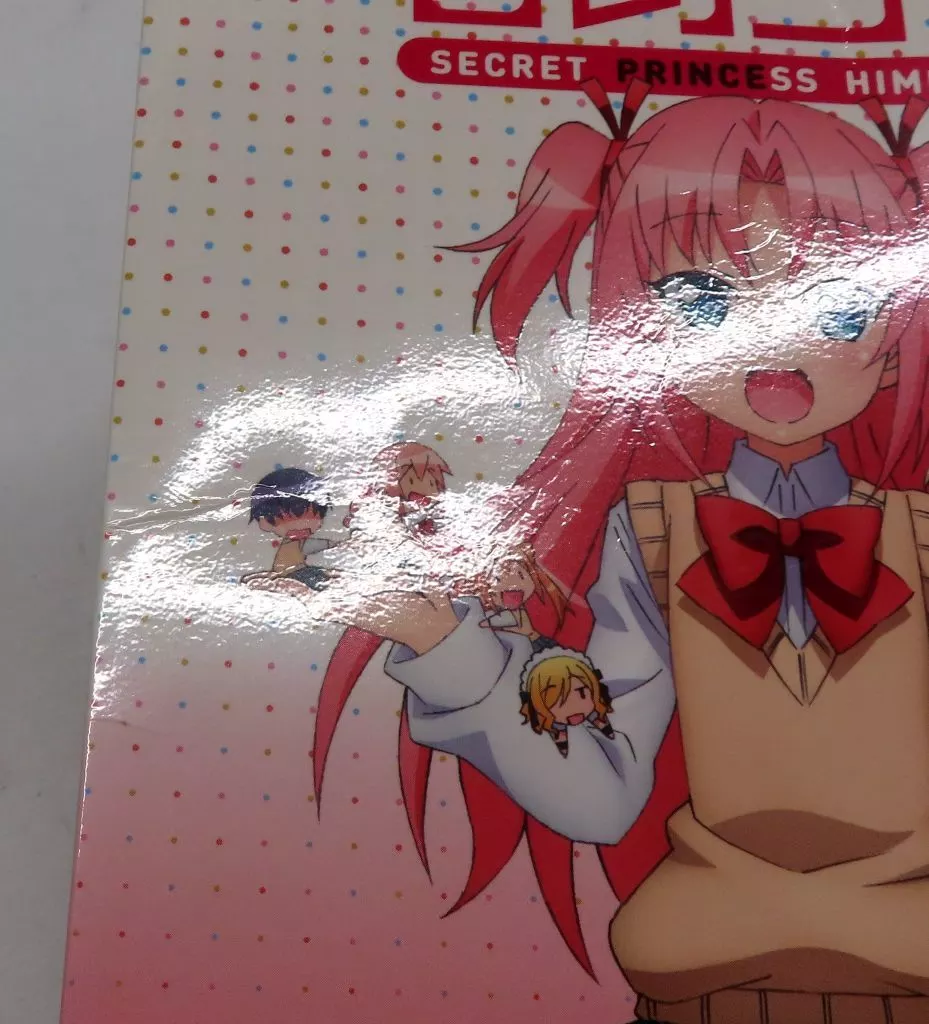 駿河屋 -<中古>ひめゴト [初回版]（アニメ全般）