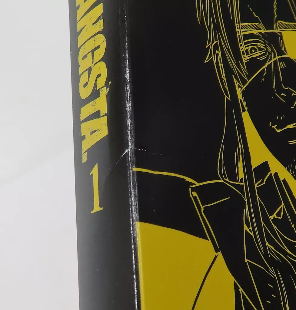 駿河屋 -<中古>不備有)GANGSTA. 特装限定版 BOX付き全6巻セット
