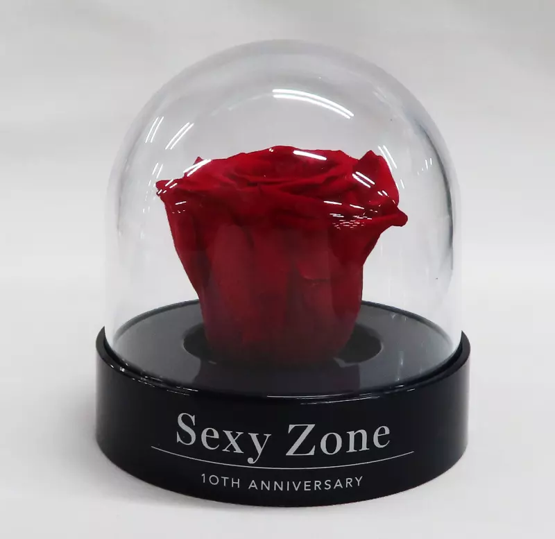 駿河屋 -<中古>Sexy Zone(timelesz) 薔薇(プリザーブドフラワー)＆会員