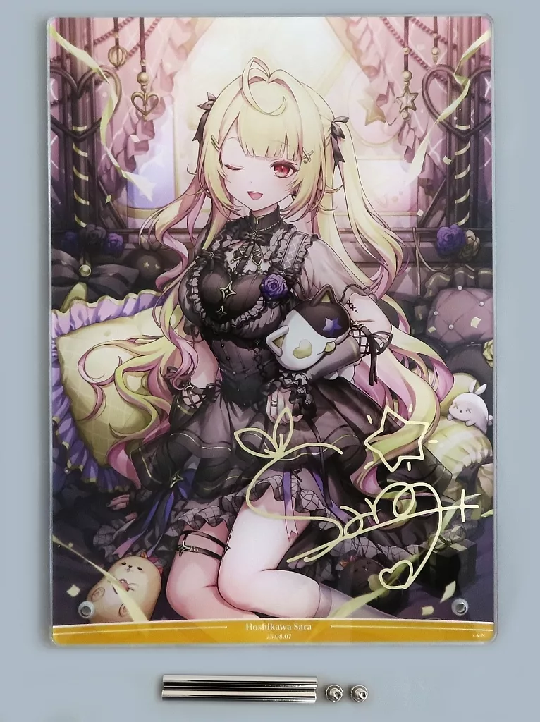 駿河屋 -<中古>星川サラ 全力お祝いセット 「バーチャルYouTuber にじ