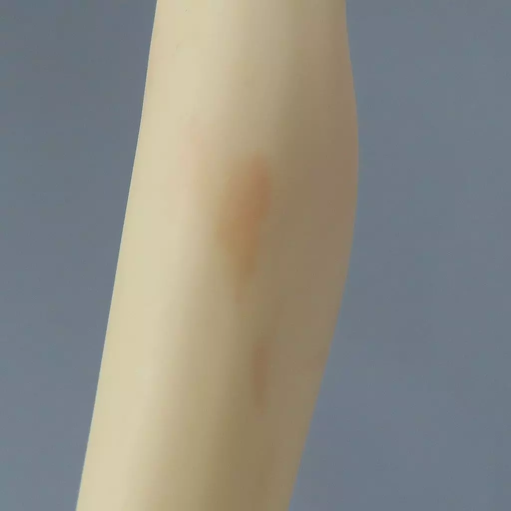 駿河屋 -【アダルト】<中古>宇佐美未夜 「Tony's Bunny Sisters」 B