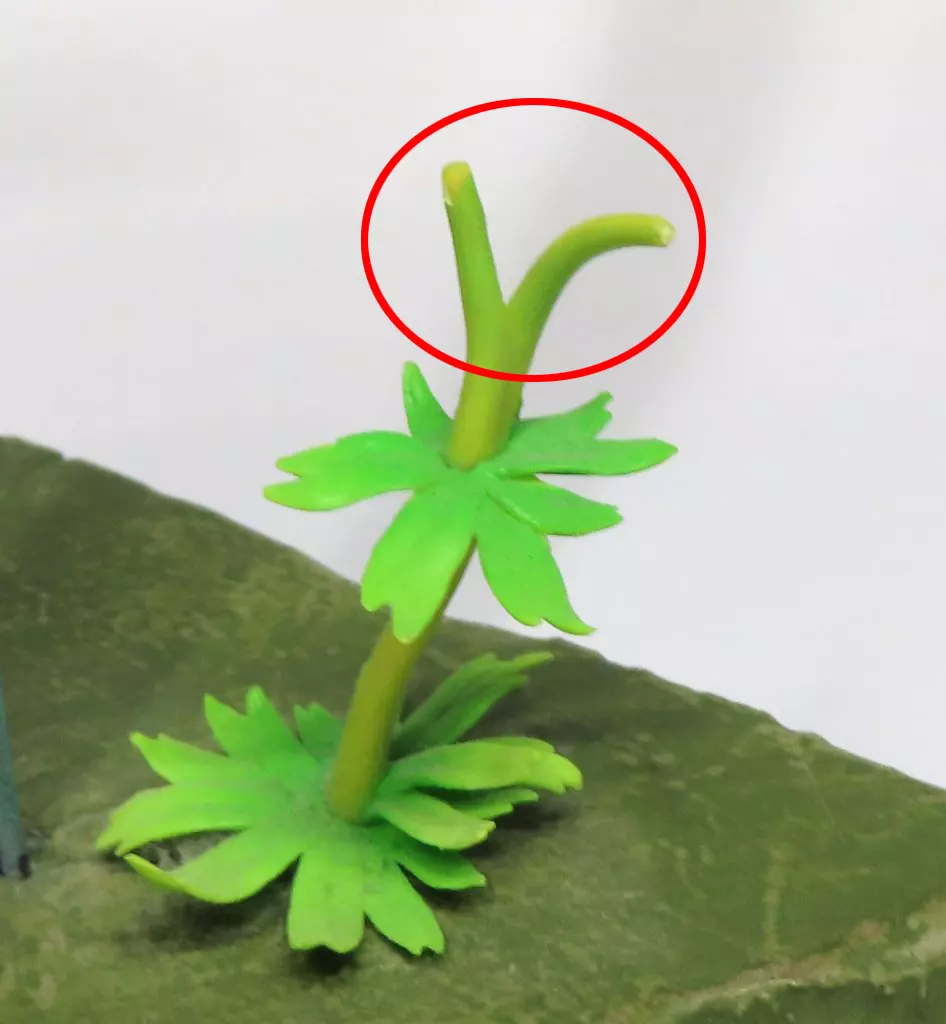 回生のマスターソード DELUXE COLLECTOR’S EDITION 駿河屋 -<中古>[単品] 回生のマスターソード 「ニンテンドースイッチ