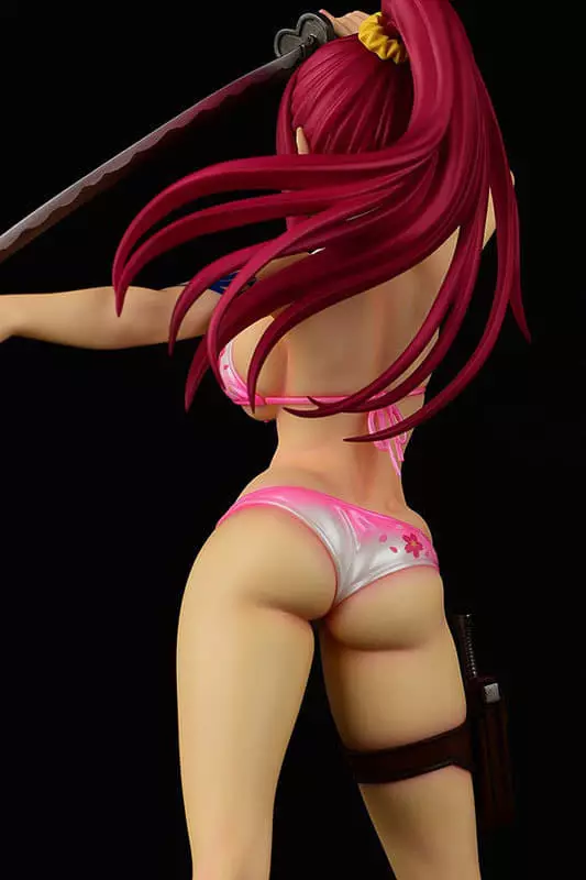 駿河屋 -<中古>[ランクB] エルザ・スカーレット・水着Gravure_Style