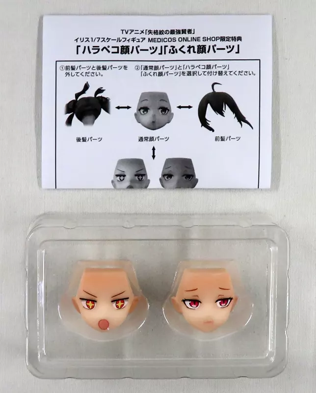 駿河屋 -<中古>[特典付き] イリス 「失格紋の最強賢者」 1/7 PVC＆ABS