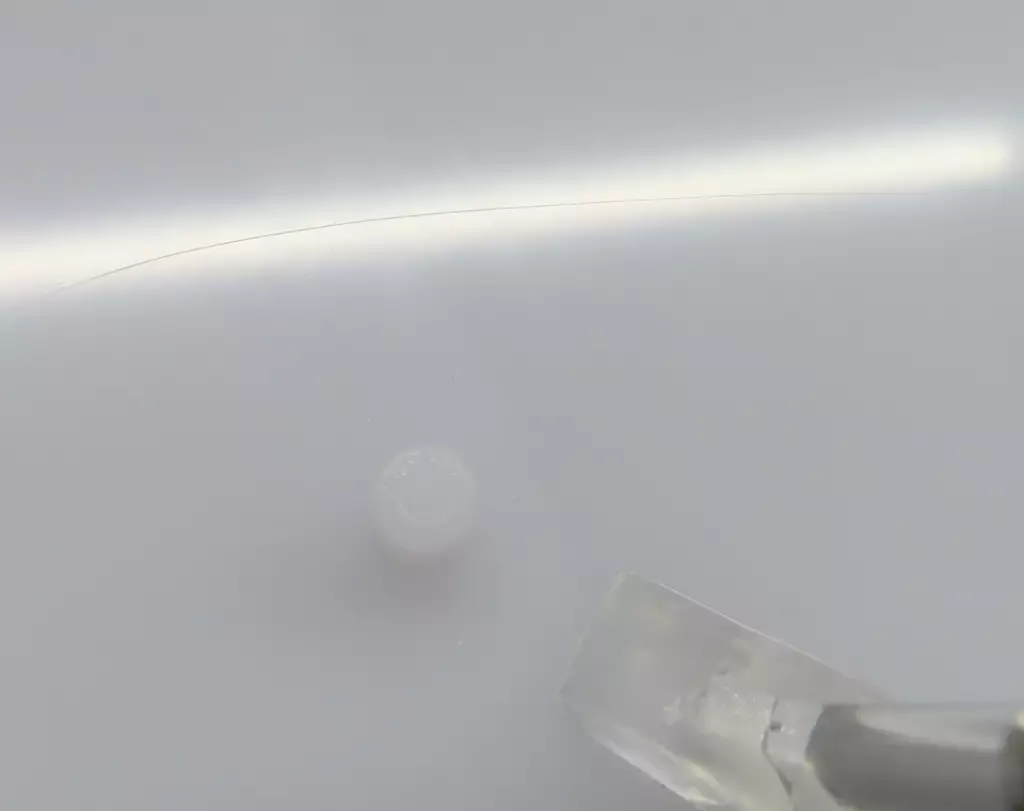 駿河屋 -【アダルト】<中古>ソフィア・F・シャーリング バニーVer.2nd